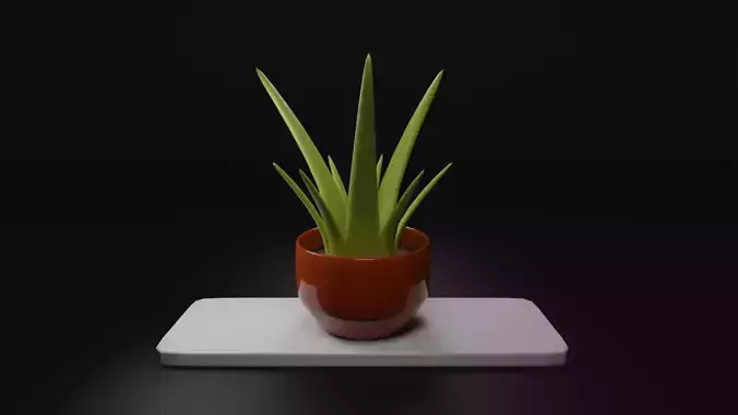 Potted Plant
