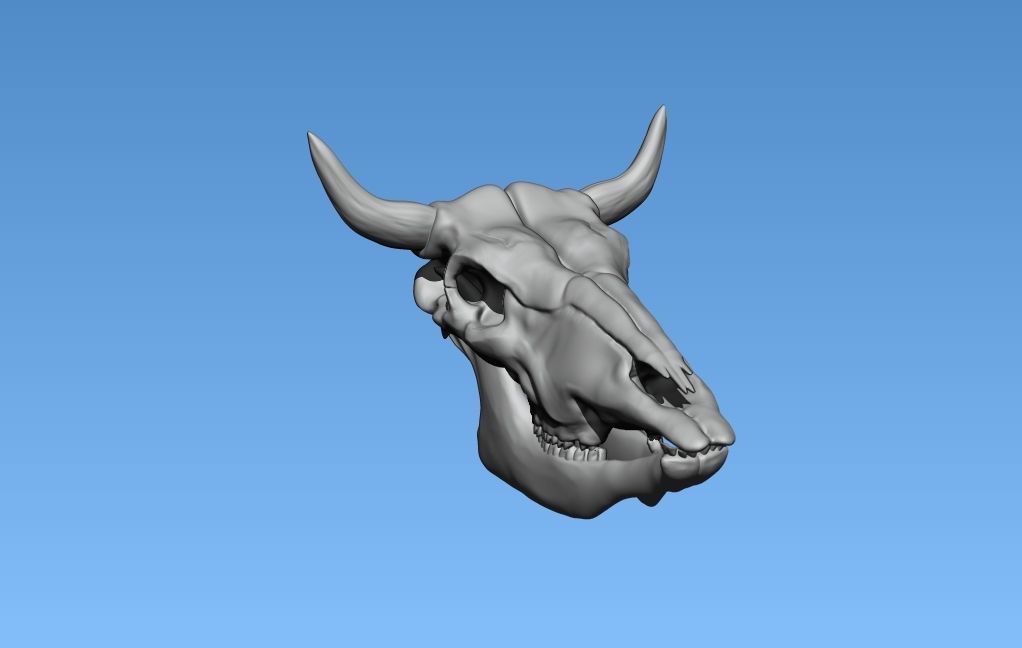 cow skull head 3D model 3D printable | CGTrader