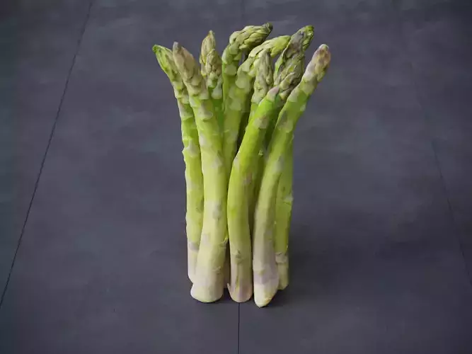 Asparagus  3D model