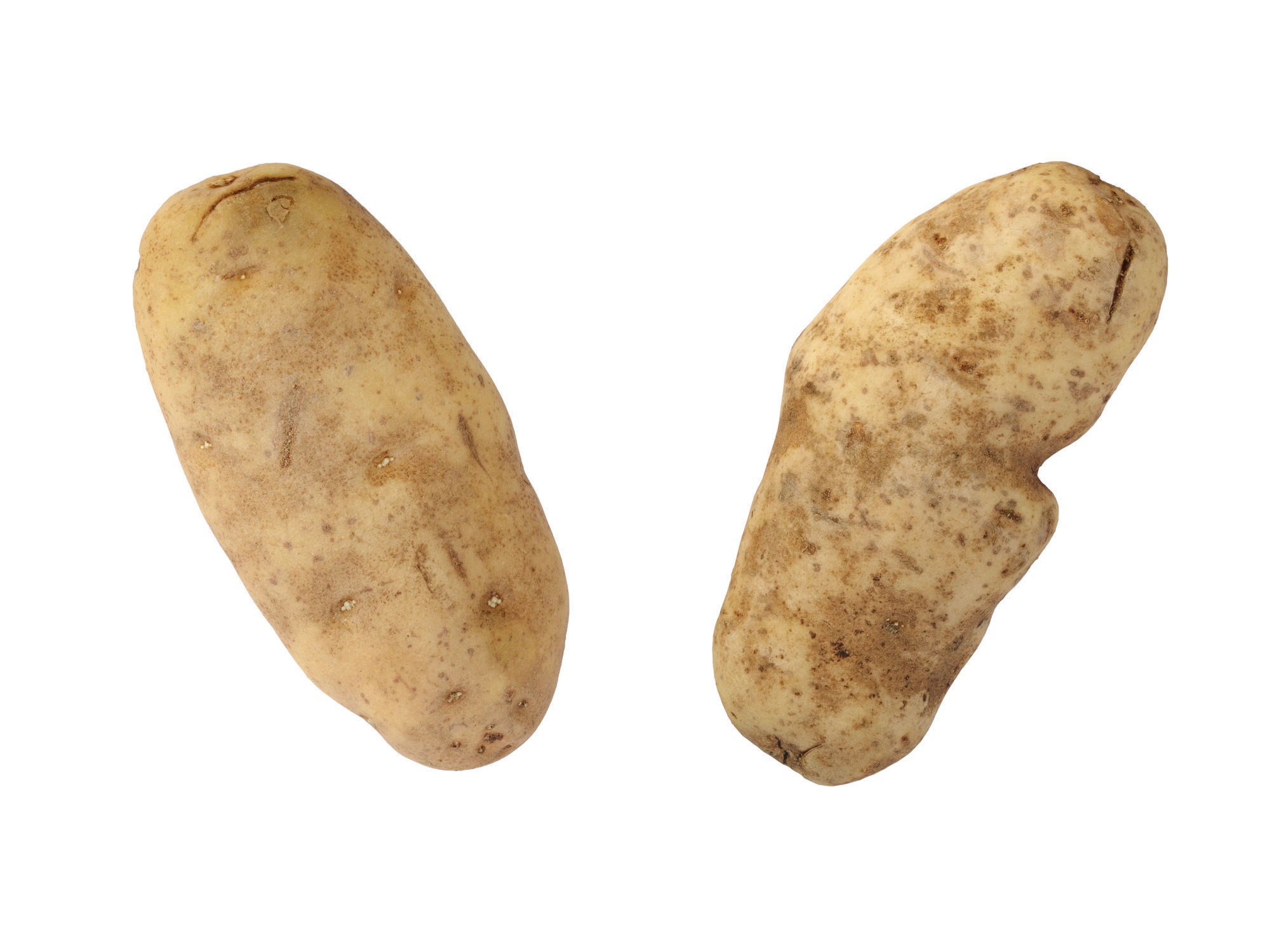 Potatoes 01 Low-poly 3D model_11