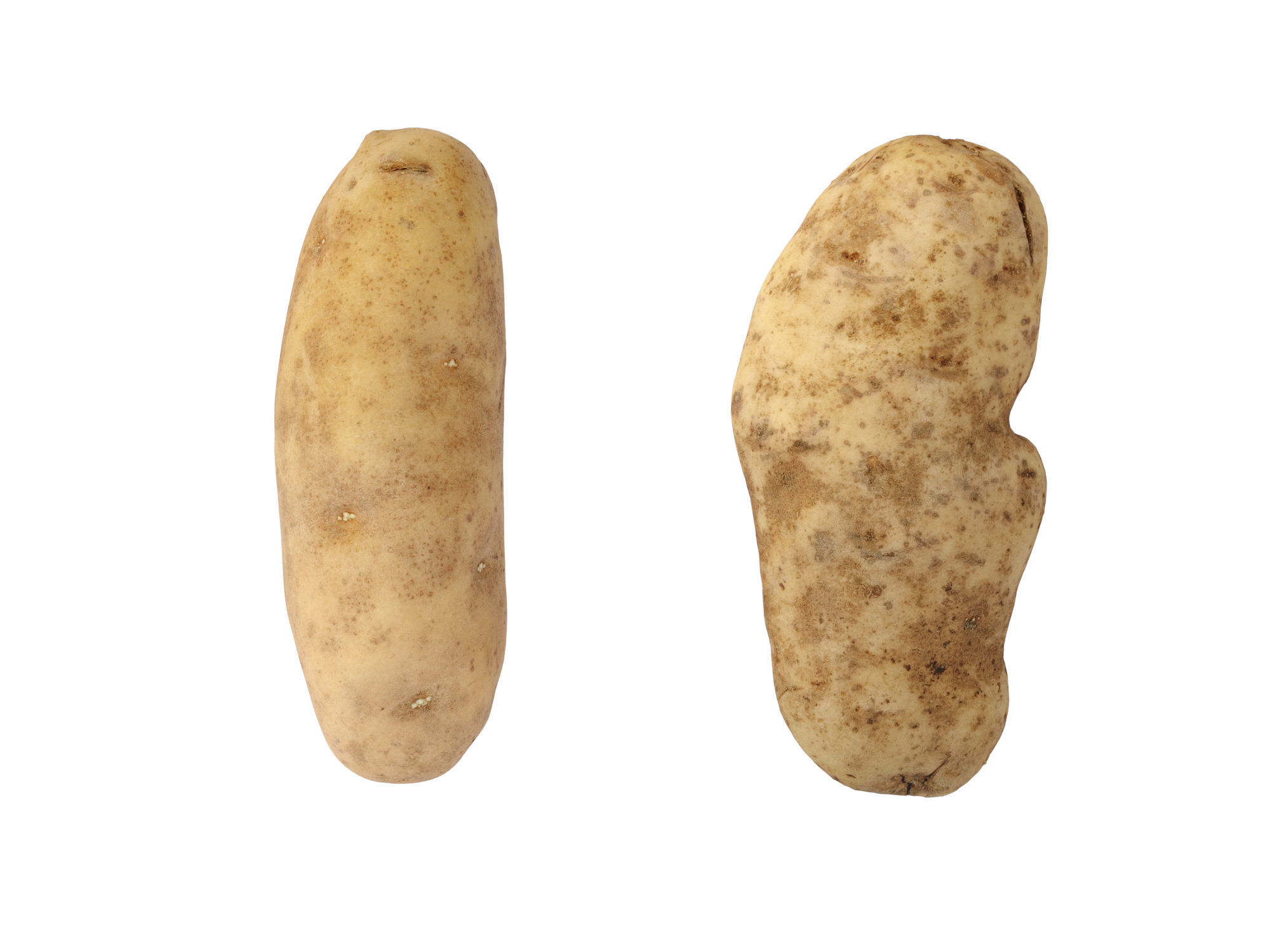 Potatoes 01 Low-poly 3D model_4