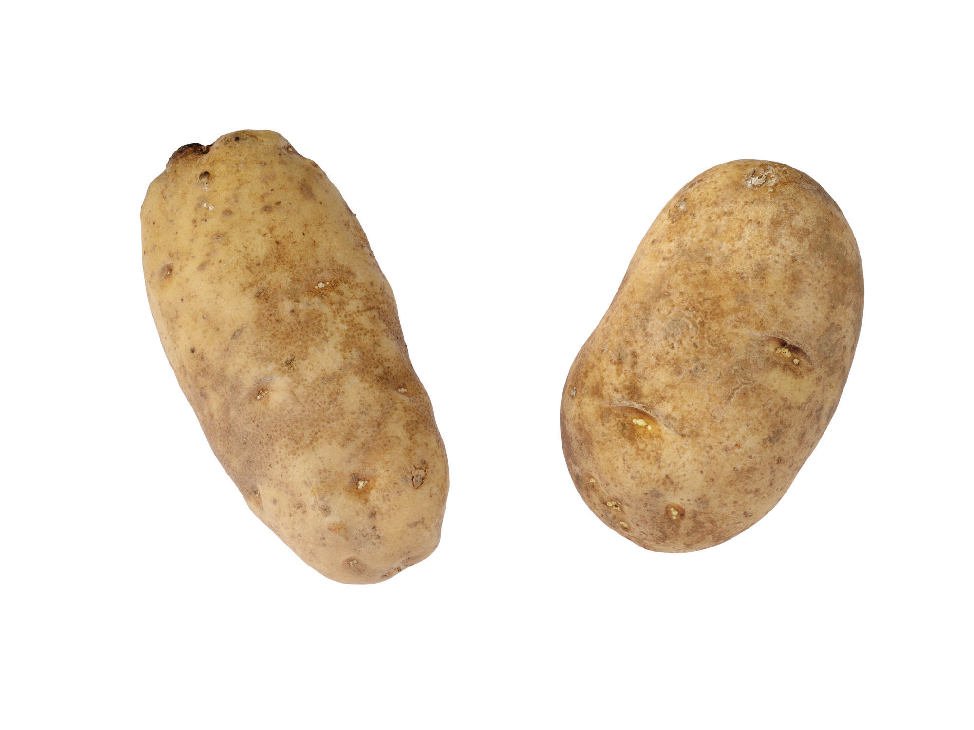 Potatoes 01 Low-poly 3D model_7