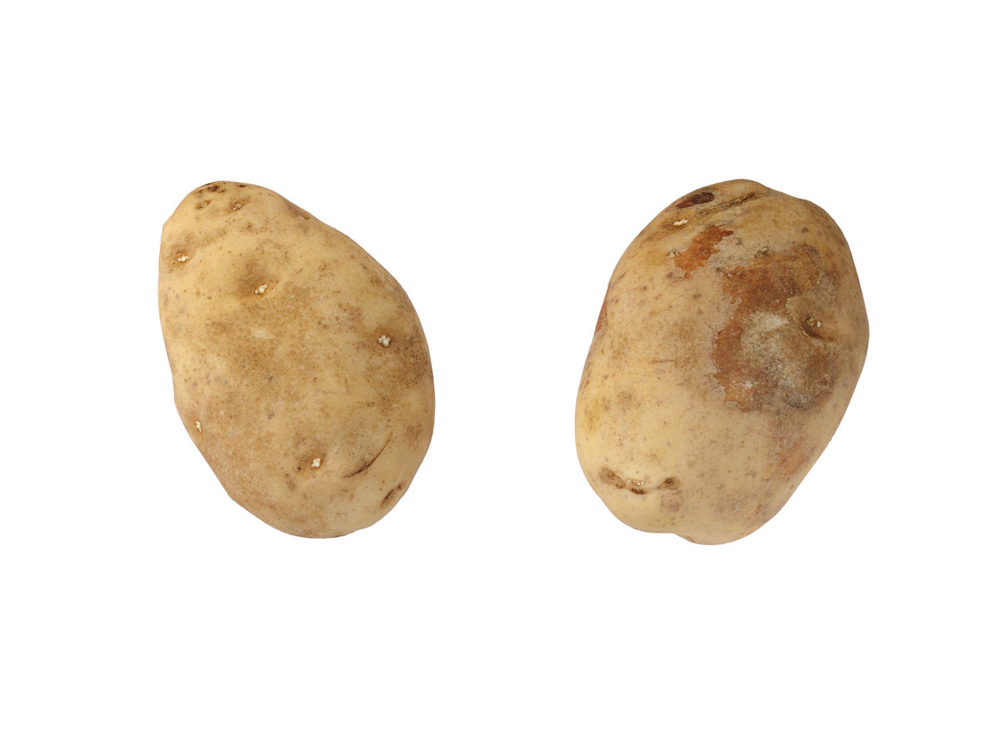 Potatoes 01 Low-poly 3D model_9