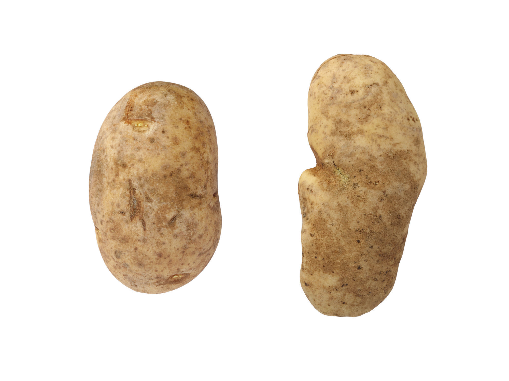 Potatoes 01 Low-poly 3D model_6