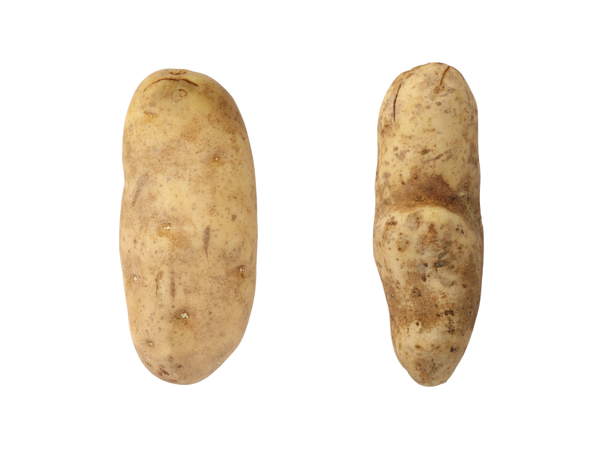 Potatoes 01 Low-poly 3D model_5