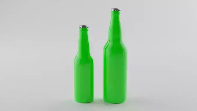 Two beer bottles