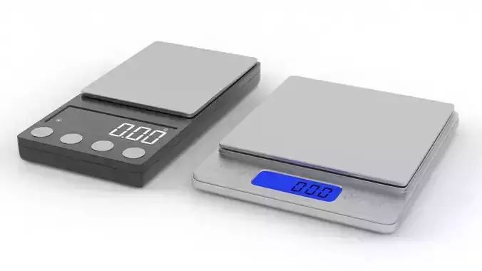 Digital Scale 3D model