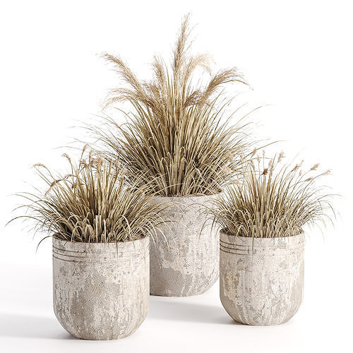 outdoor-plants-in-vase-001 3D model