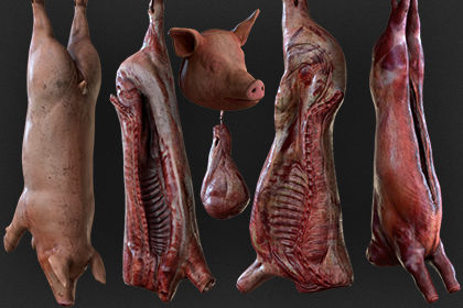 Carcasses Low-poly 3D model_3