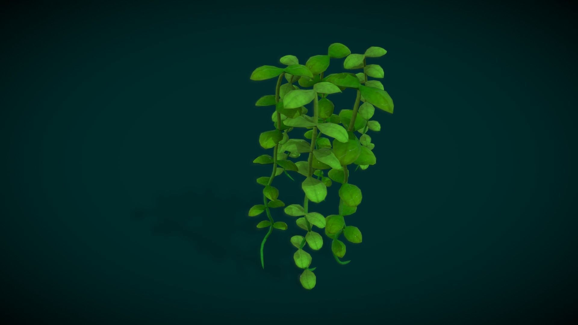 Cartoon Seaweed 10 Low-poly 3D model_7