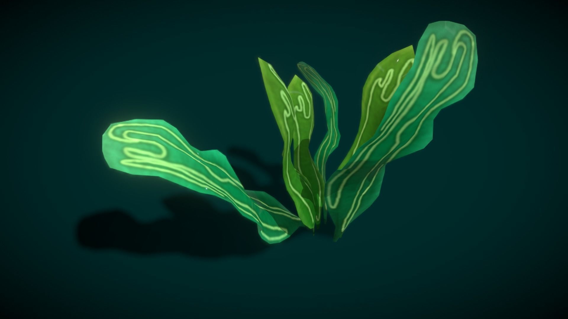 Cartoon Seaweed 10 Low-poly 3D model_14