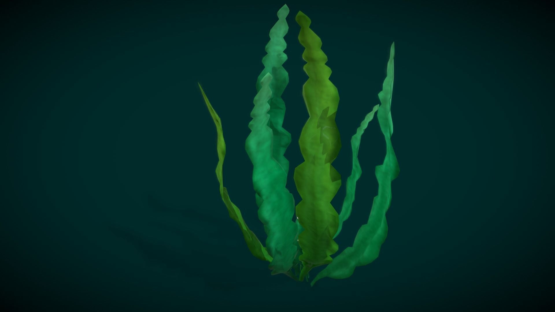 Cartoon Seaweed 10 Low-poly 3D model_16