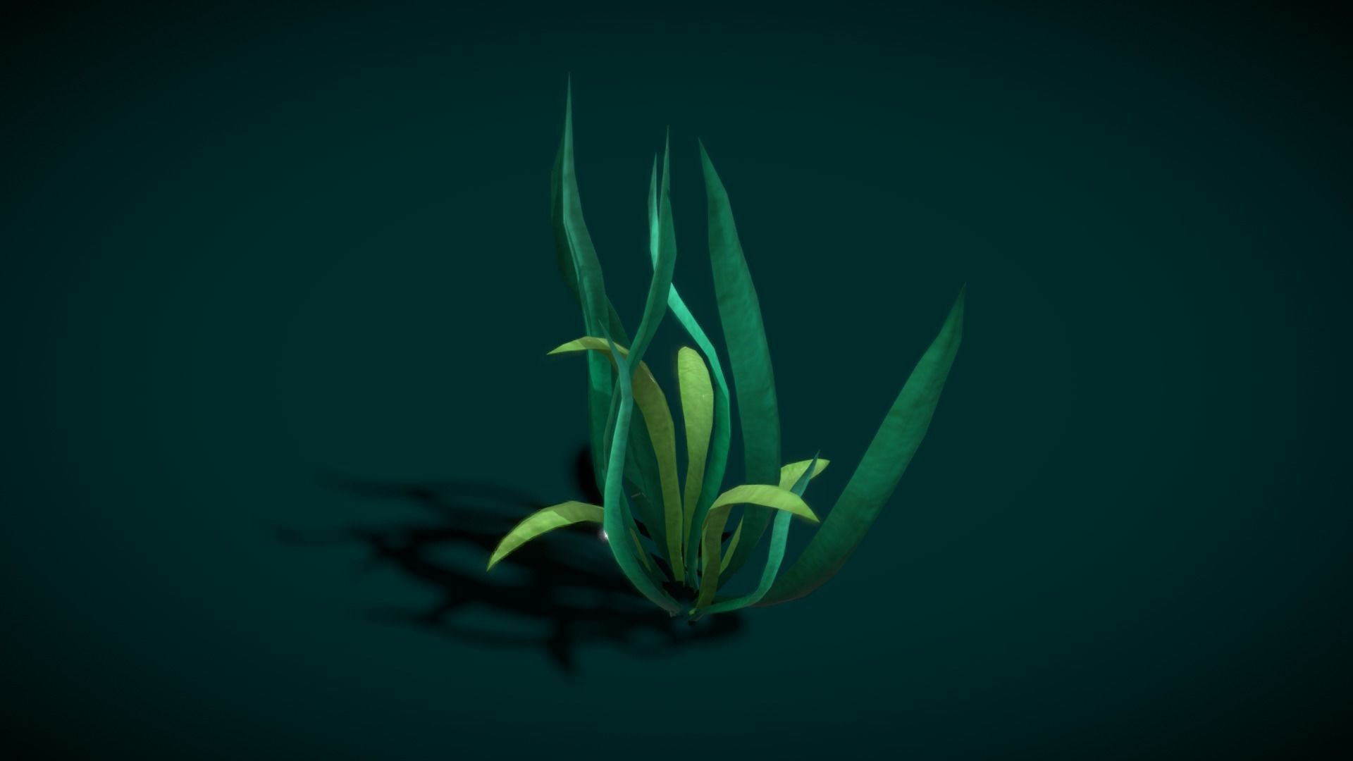 Cartoon Seaweed 10 Low-poly 3D model_12