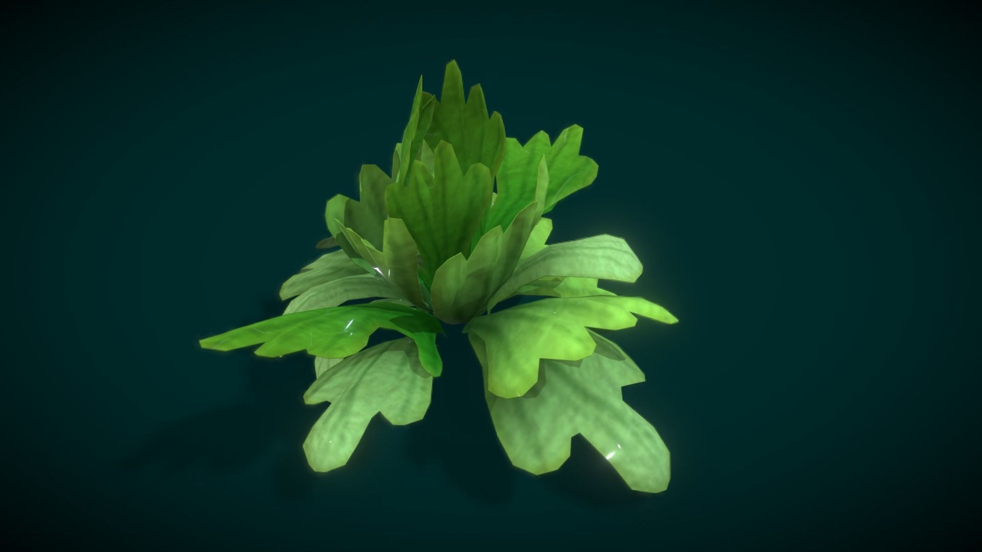 Cartoon Seaweed 10 Low-poly 3D model_9
