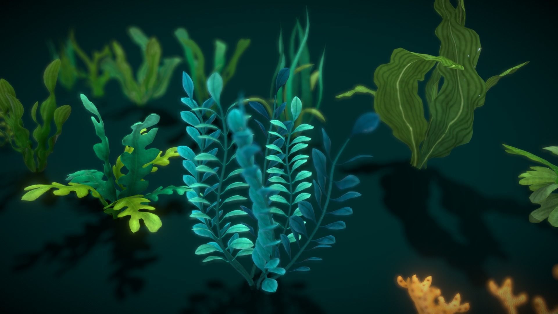 Cartoon Seaweed 10 Low-poly 3D model_23