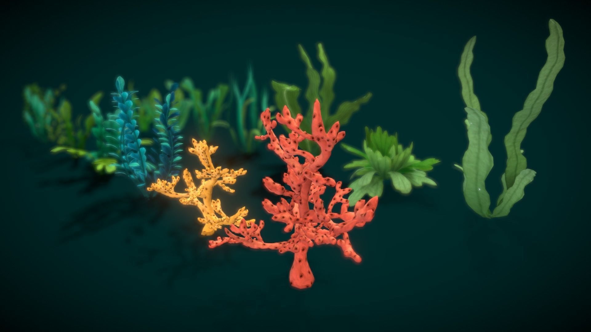Cartoon Seaweed 10 Low-poly 3D model_11