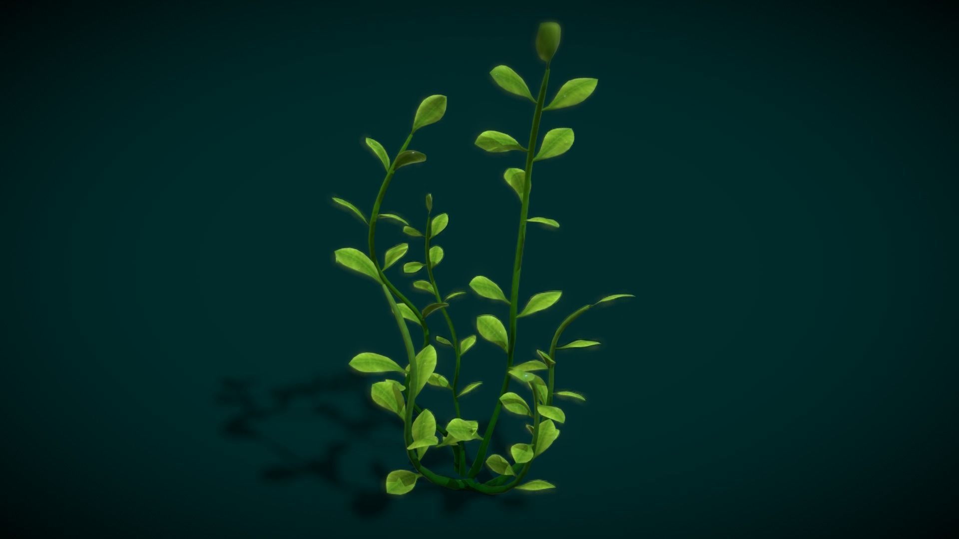 Cartoon Seaweed 10 Low-poly 3D model_5