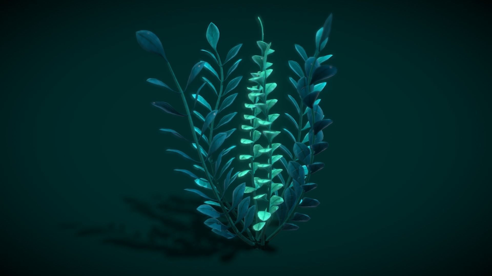 Cartoon Seaweed 10 Low-poly 3D model_2