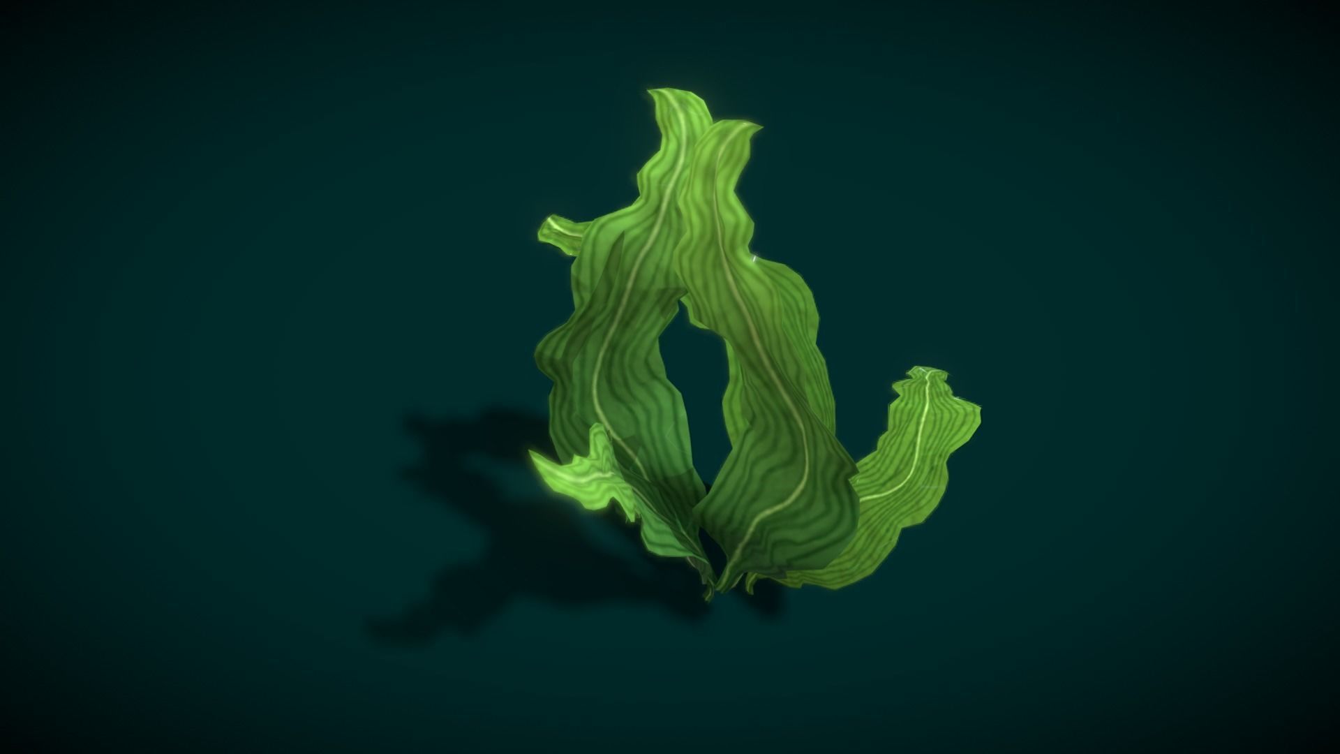 Cartoon Seaweed 10 Low-poly 3D model_10