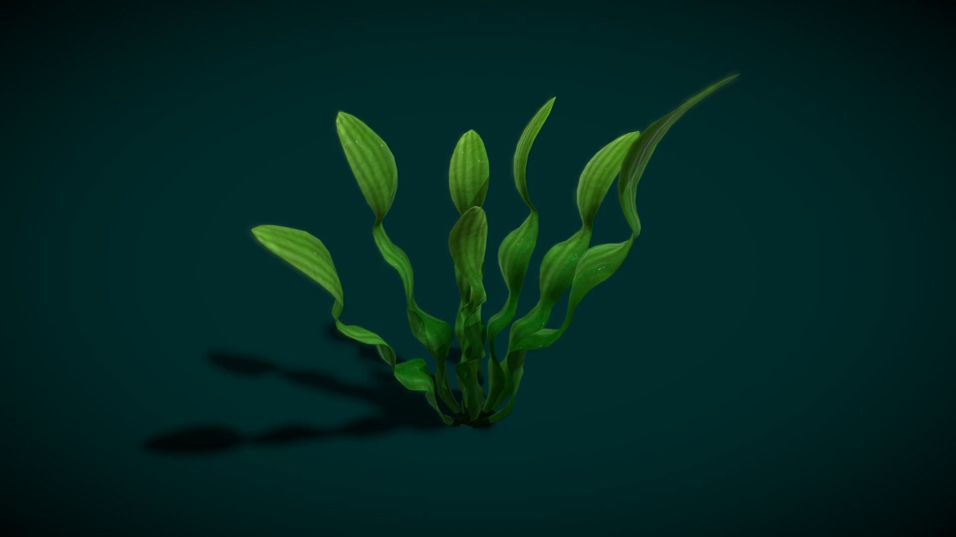 Cartoon Seaweed 10 Low-poly 3D model_4