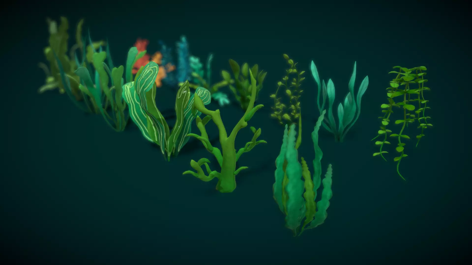 Cartoon Seaweed 10 Low-poly 3D model_0