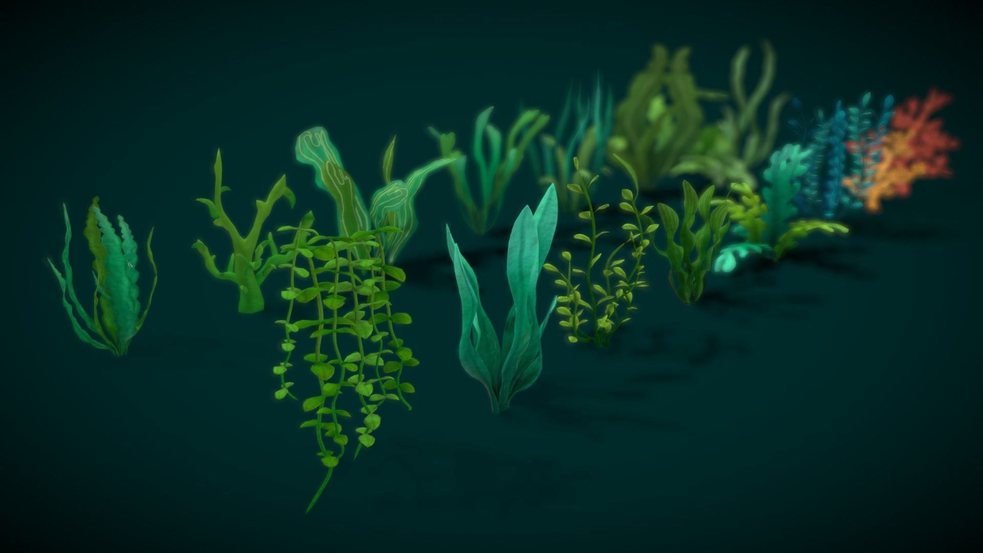 Cartoon Seaweed 10 Low-poly 3D model_25