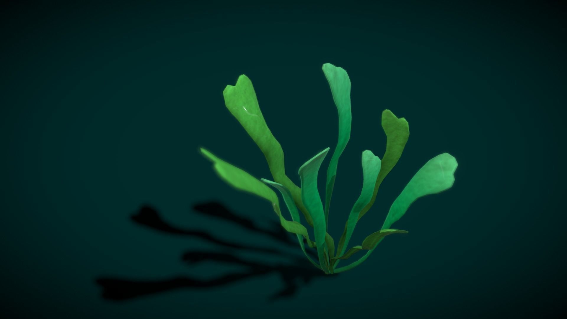 Cartoon Seaweed 10 Low-poly 3D model_13