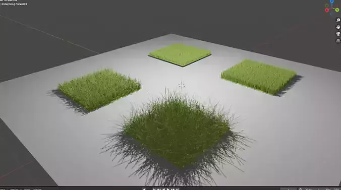 grass