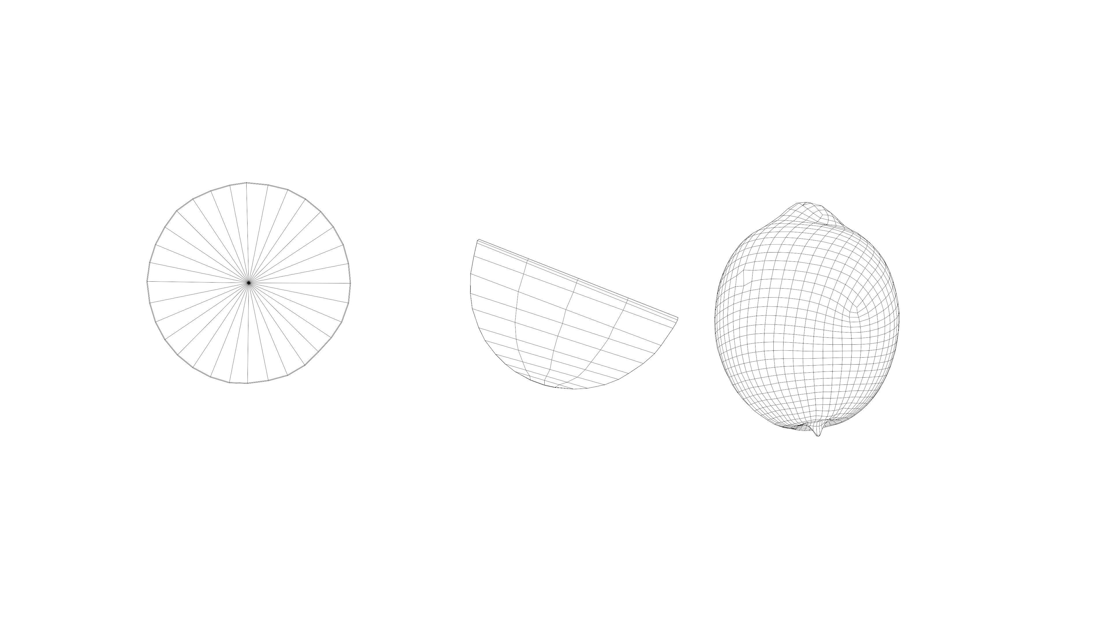 Lemon photorealistic Low-poly 3D model_8