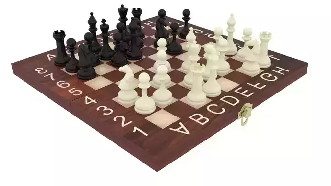 Played Chess On Chess Board