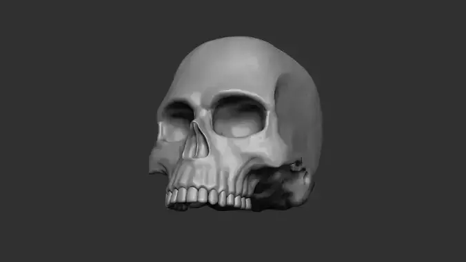 Skull - 3D Print 3D print model
