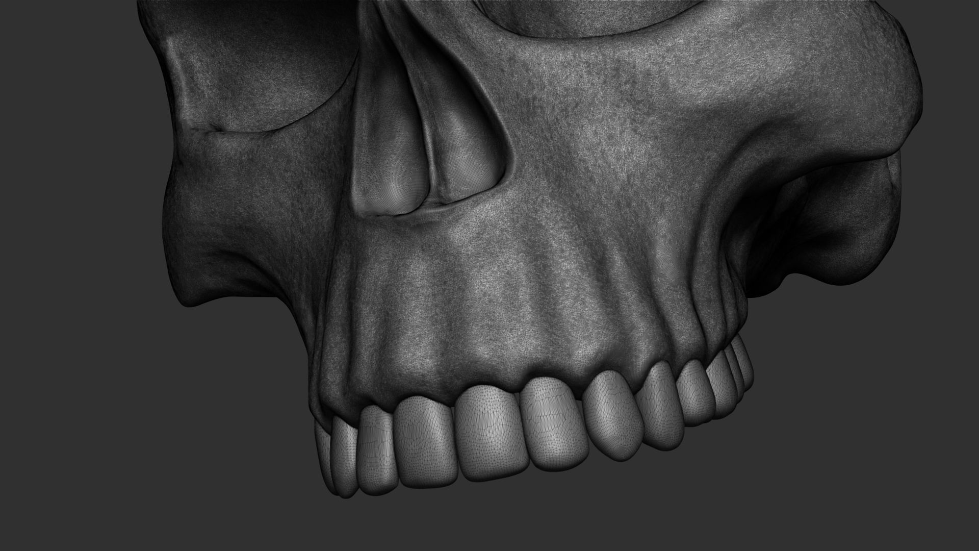 Skull - 3D Print 3D model 3D printable | CGTrader