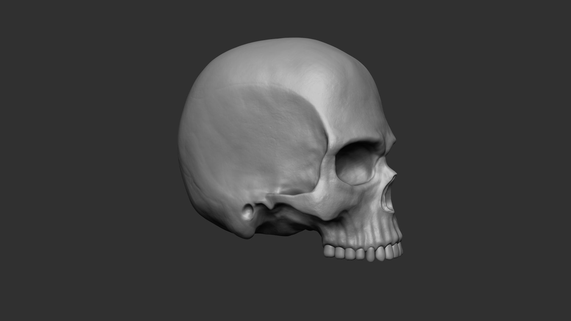 Skull - 3D Print 3D model 3D printable | CGTrader