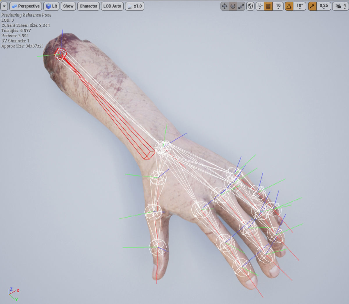 Human Remains  Rigged  Low-poly 3D model_8