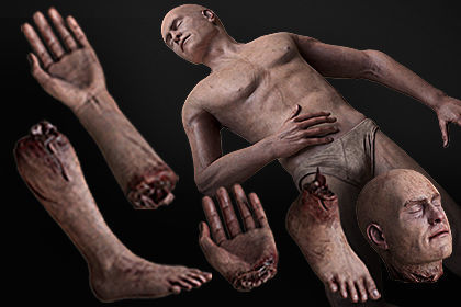 Human Remains  Rigged  Low-poly 3D model_10