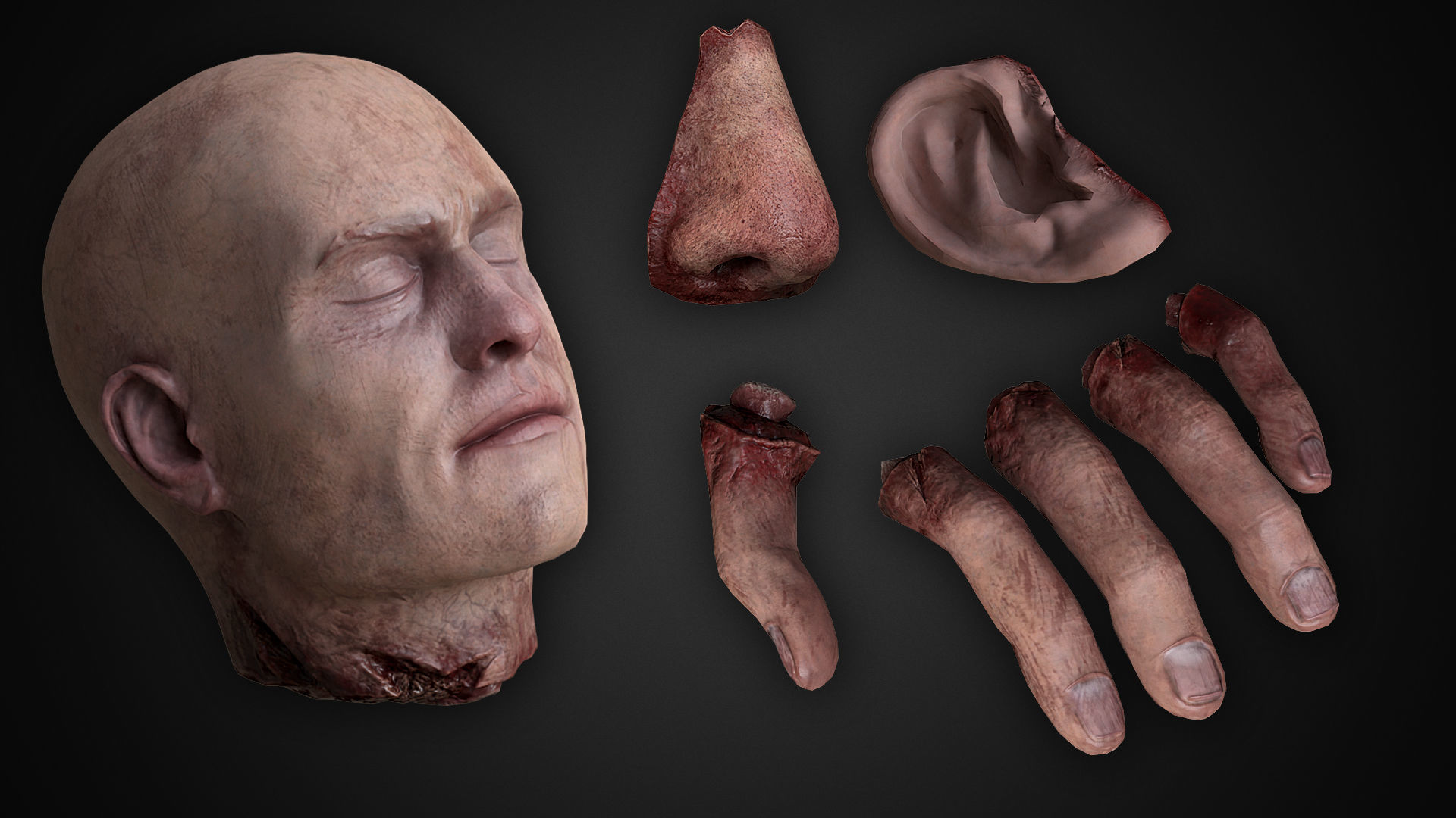 Human Remains  Rigged  Low-poly 3D model_4