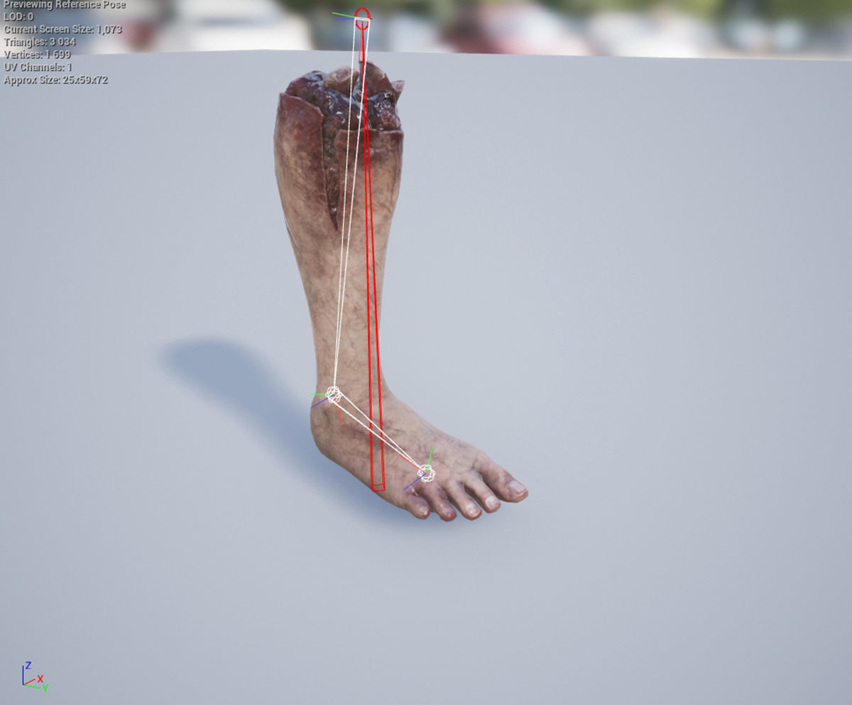 Human Remains  Rigged  Low-poly 3D model_9