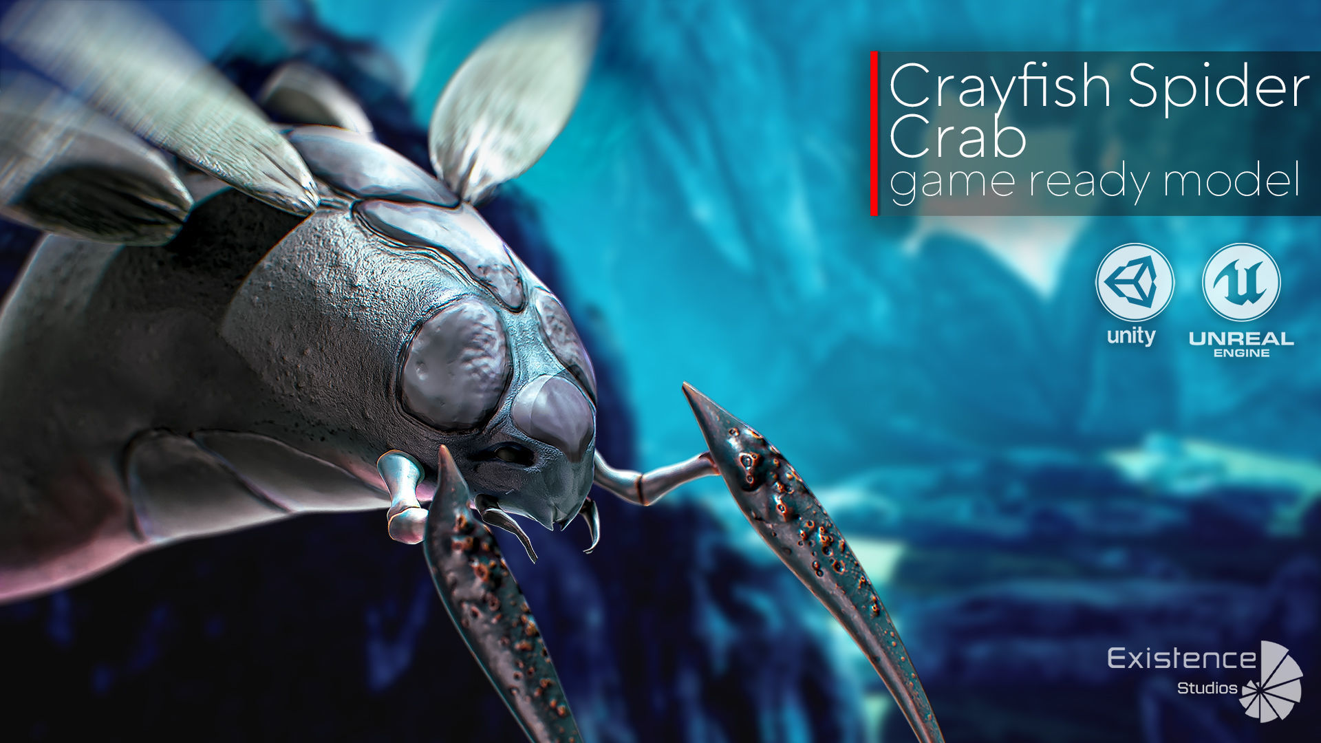Crayfish Spider Crab - fish ocean predator crustacea model - 12 Low-poly 3D model_3
