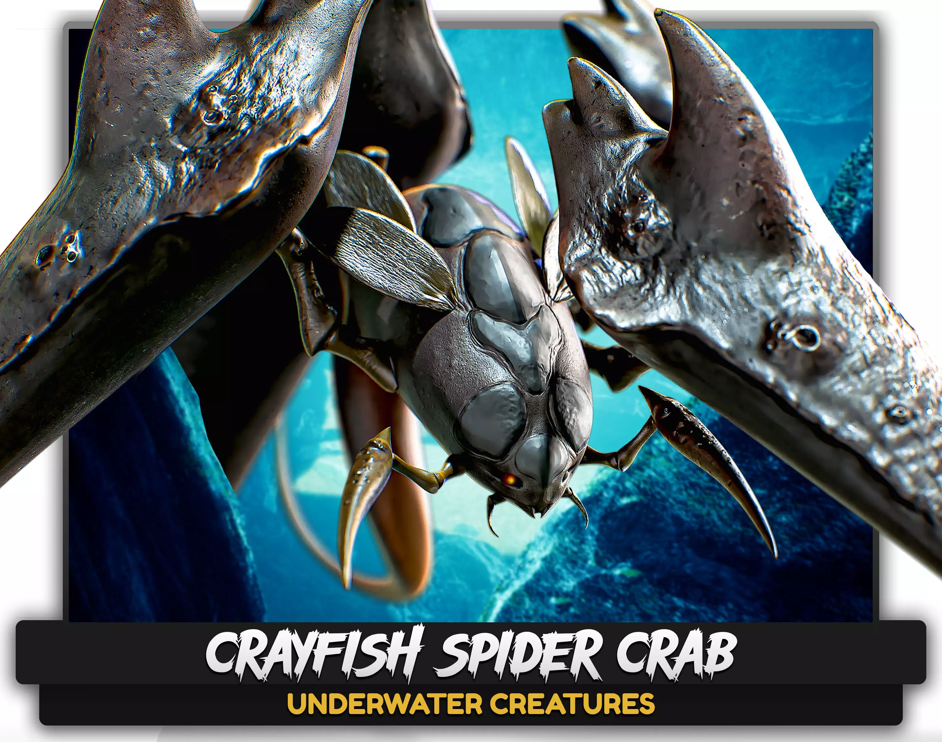 Crayfish Spider Crab - fish ocean predator crustacea model - 12 Low-poly 3D model_0