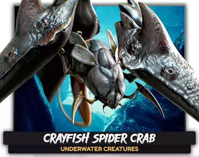 Crayfish Spider Crab - fish ocean predator crustacea model - 12 Low-poly 3D model