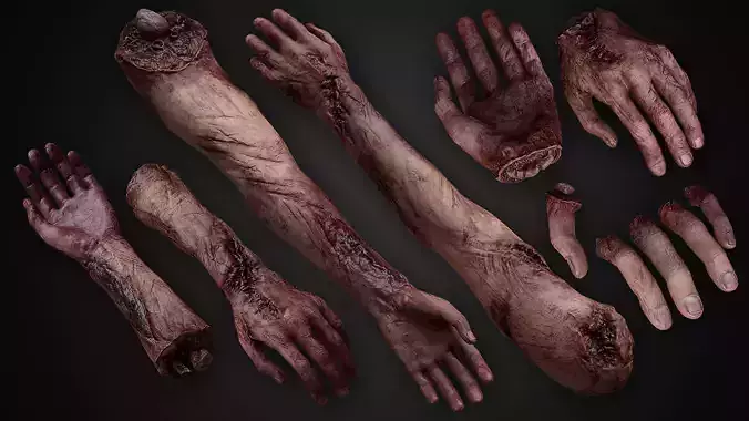 Bloody Human Remains Rigged Low-poly 3D model