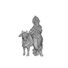 lord  krishna imitation gold silver jewelry 3D print model