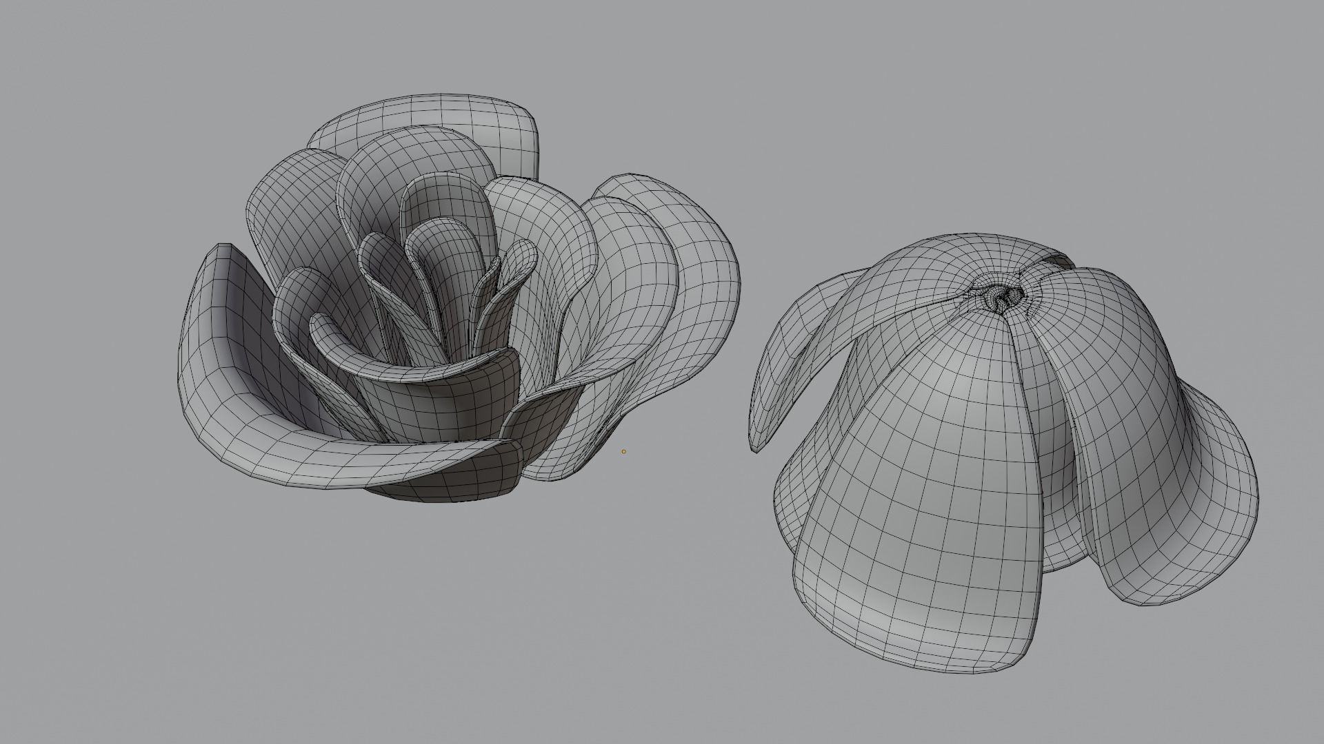 Flower Model V2 Low-poly 3D model_6
