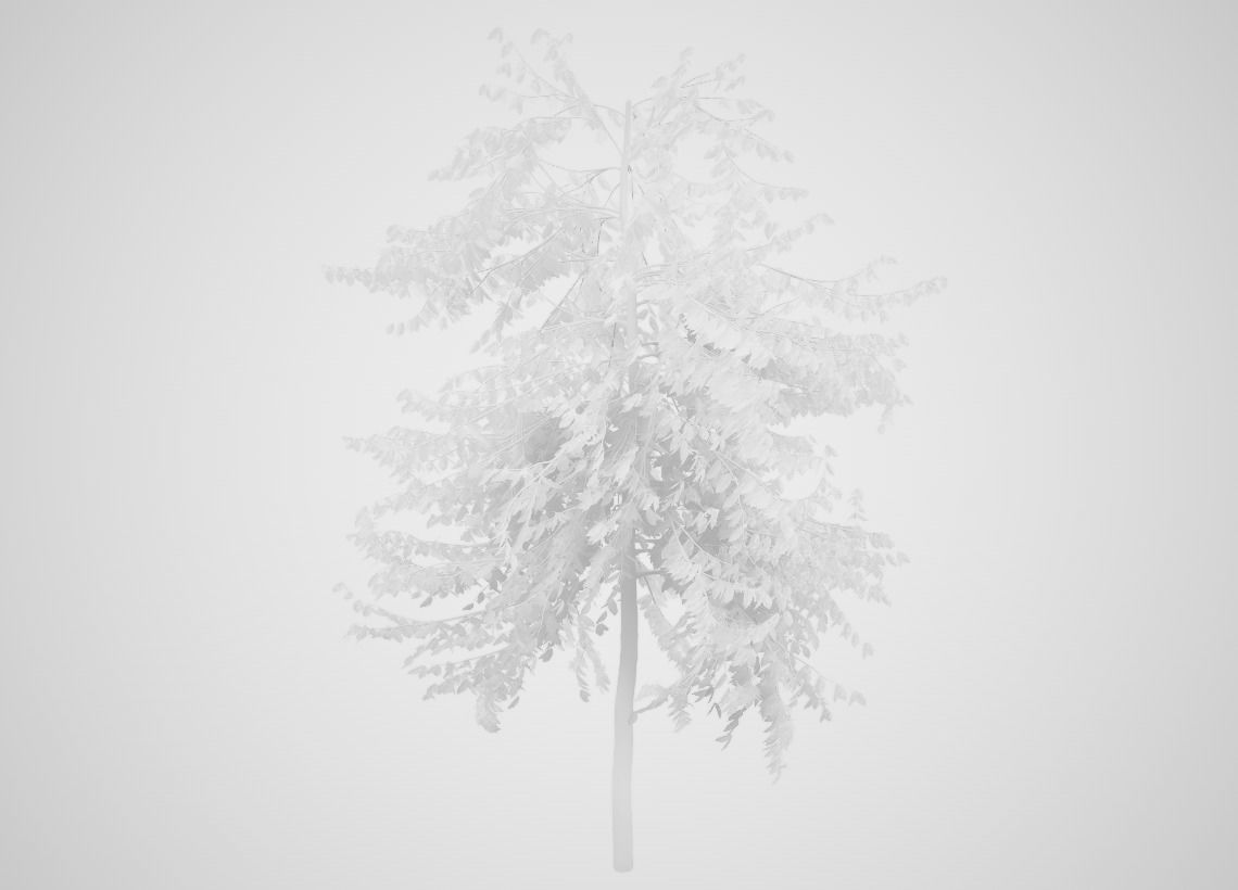 Cananga odorata SpeedTree Unreal 3D model_5