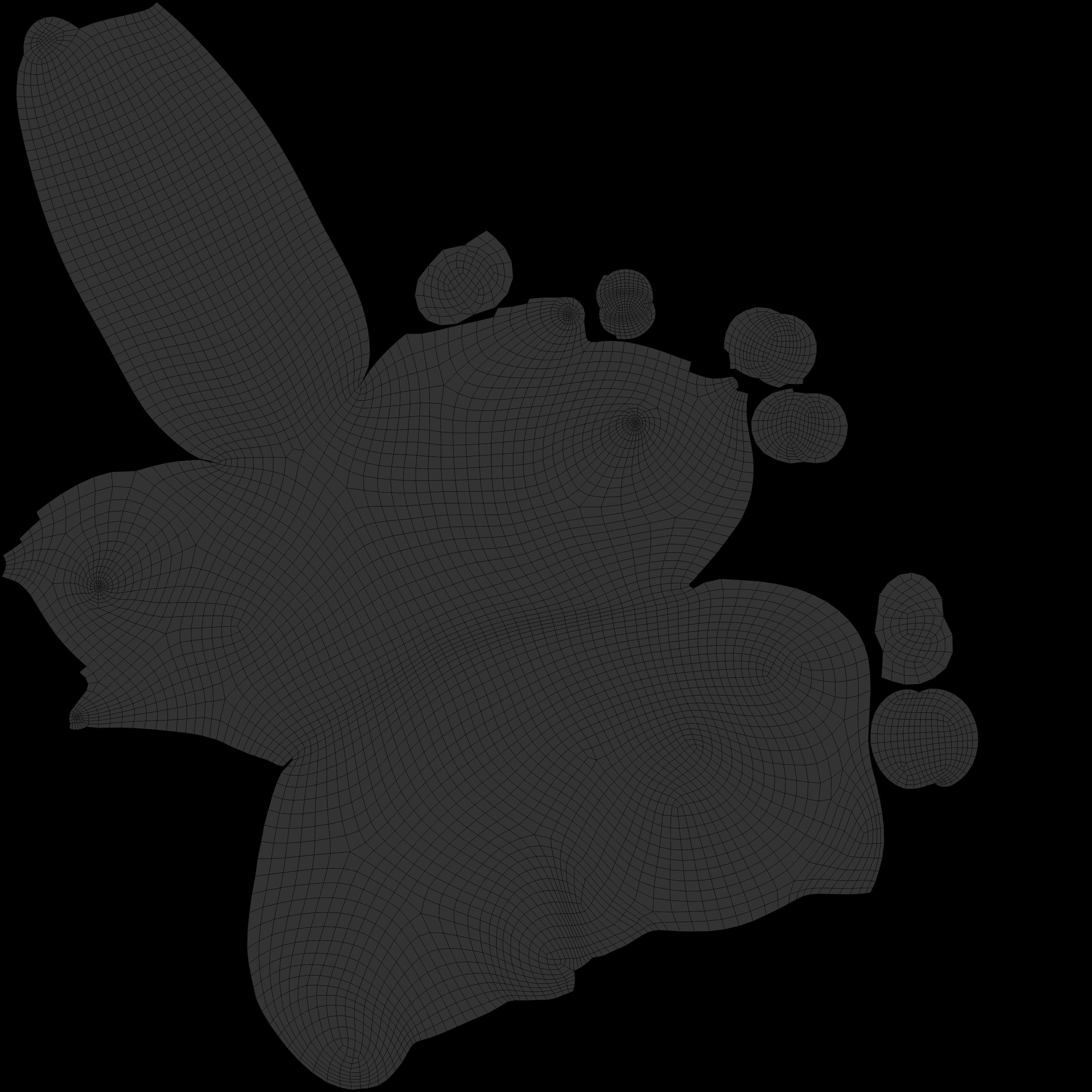 White cute cat  Low-poly 3D model_7