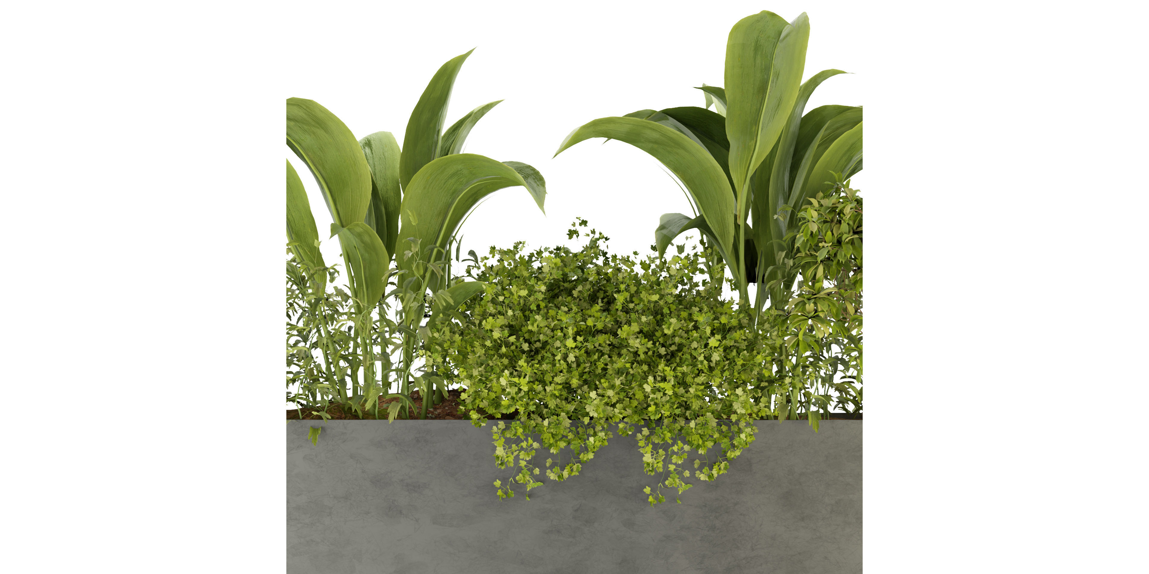 Collection plant vol 241 - blender model 3D model_2