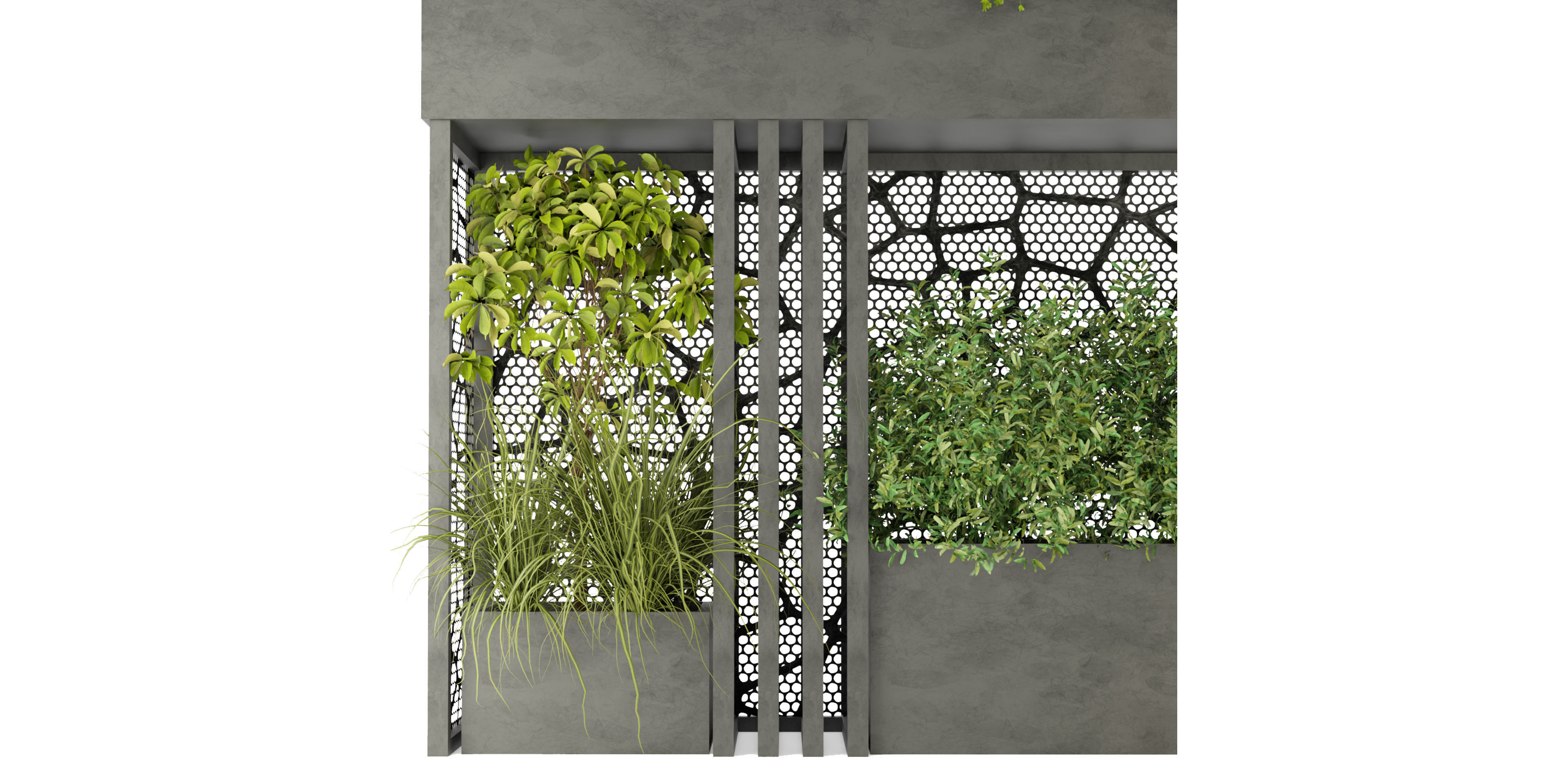 Collection plant vol 241 - blender model 3D model_3