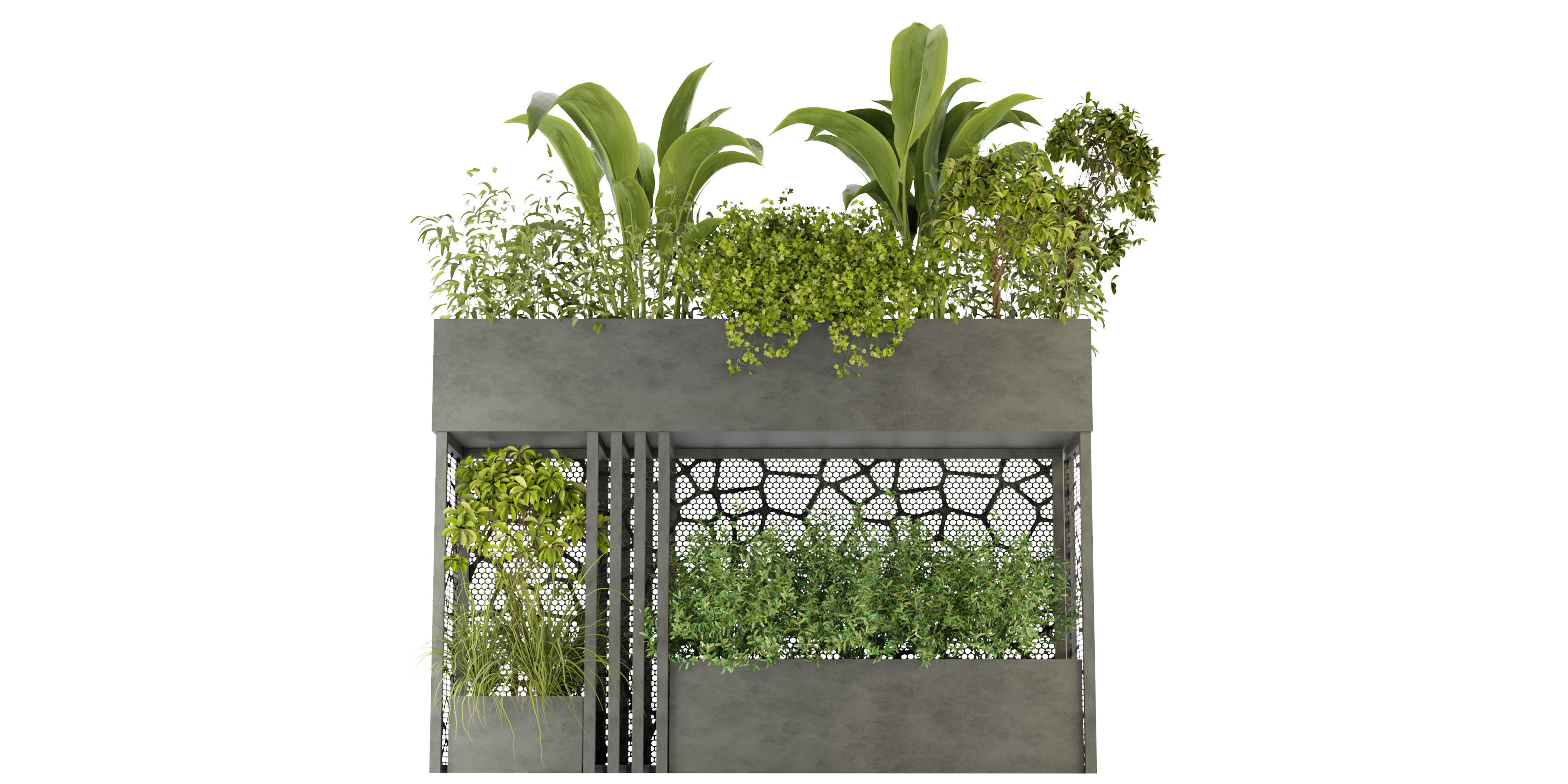 Collection plant vol 241 - blender model 3D model_1