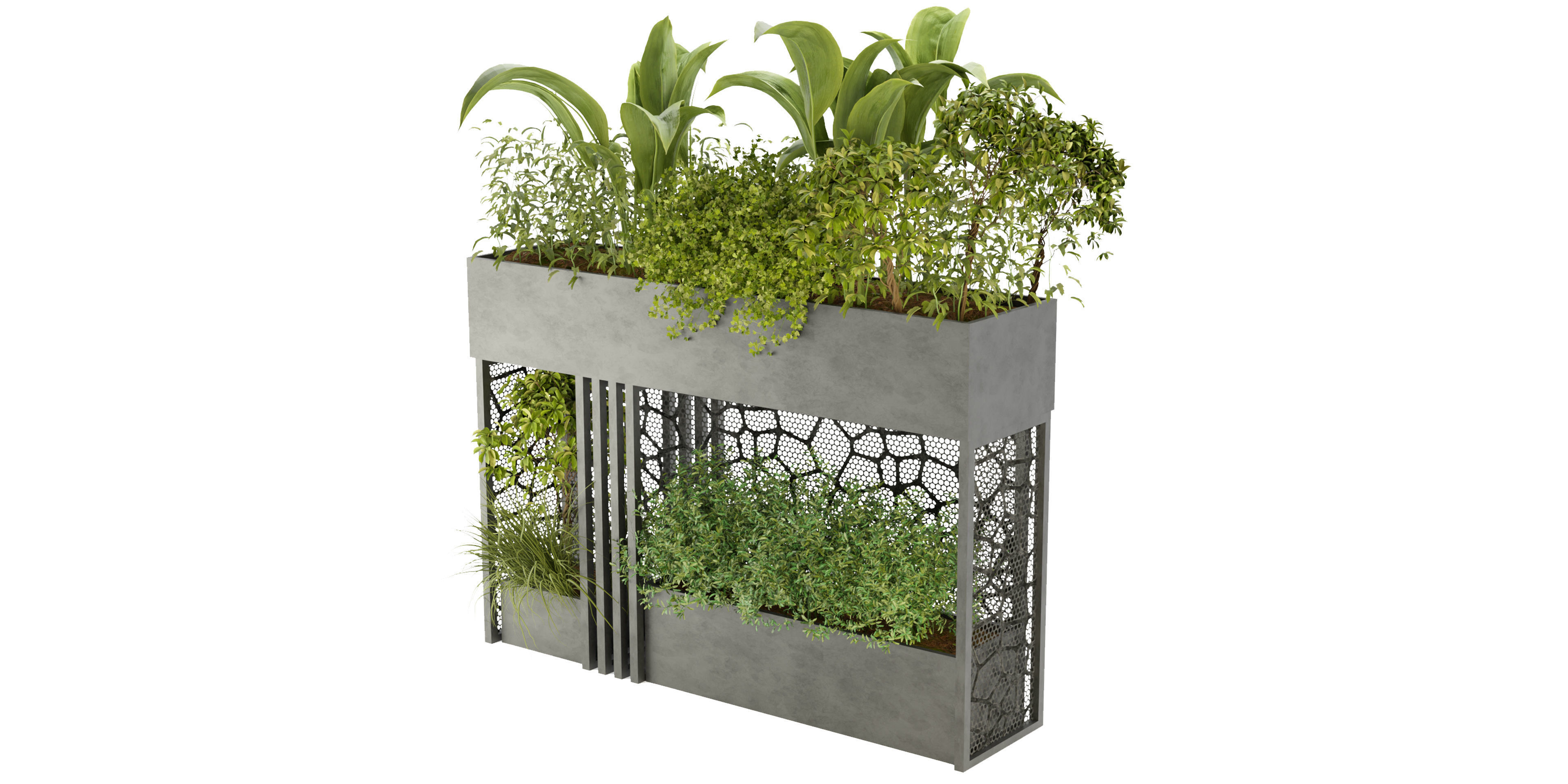 Collection plant vol 241 - blender model 3D model_4