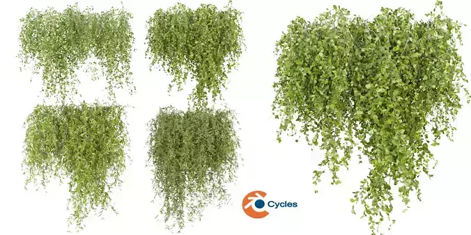 Collection plant vol 245 - blender model 